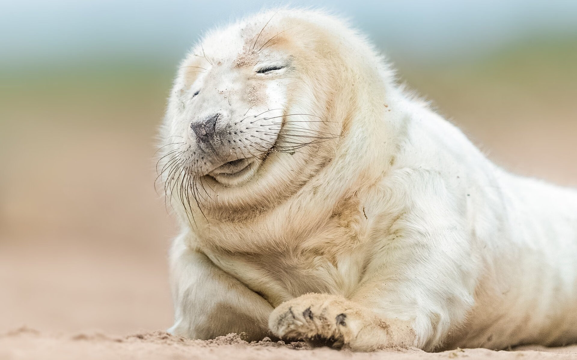 步行者击败广东队，杜兰特持续制造杀伤的篮球哲学