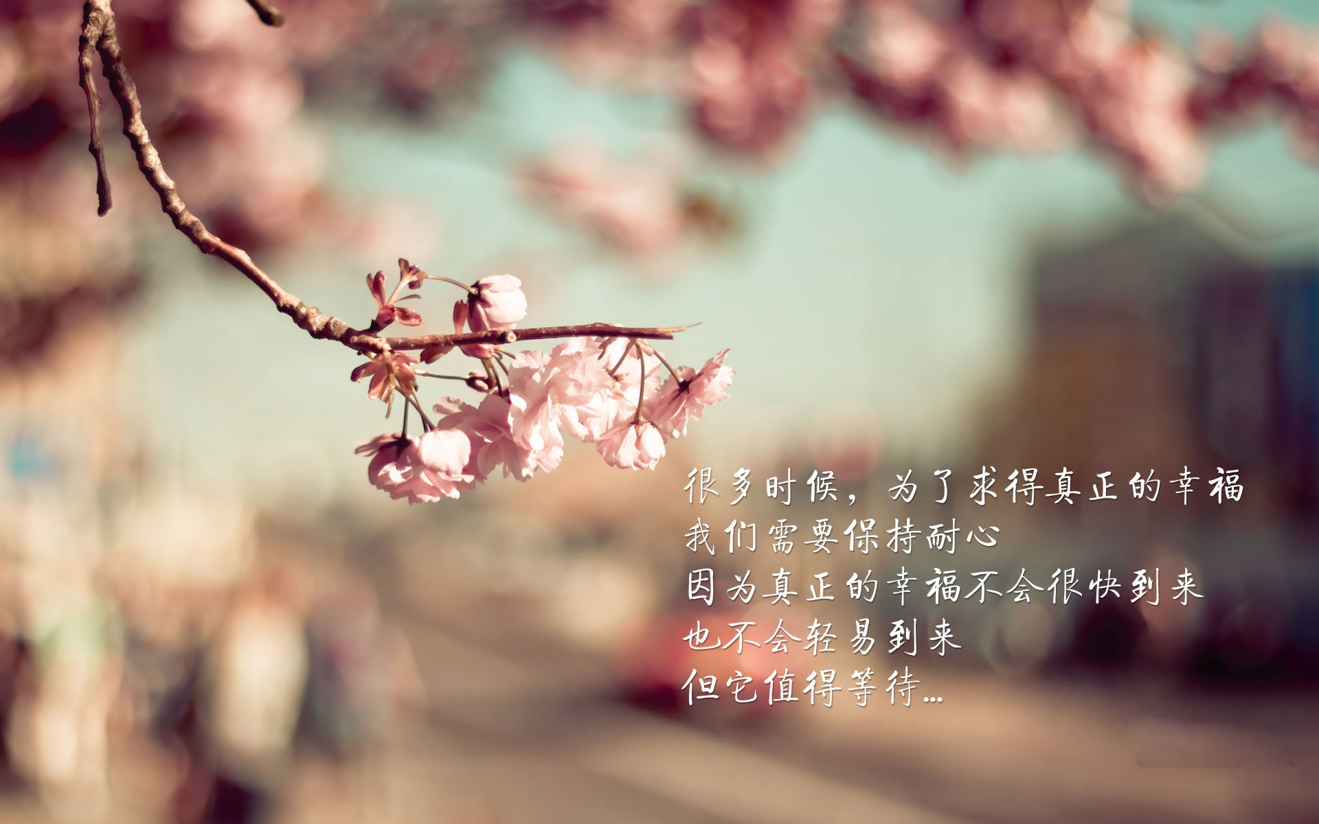 雷火电竞简介-冰与火之歌，当吉林的寒风遇上公牛的铁蹄