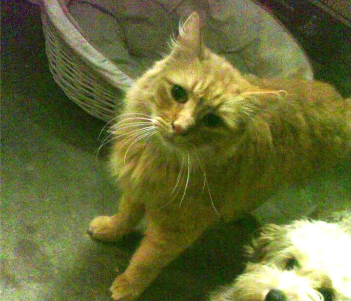 雷火电竞主播-扩展思维后的文章标题